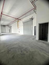 Ct Foodnex (D25), Factory #625890281